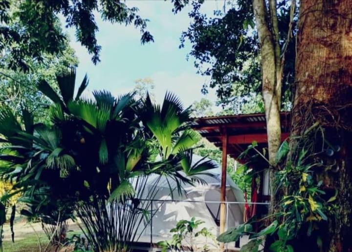Glamping Naioth Apartment Guapiles Exterior photo