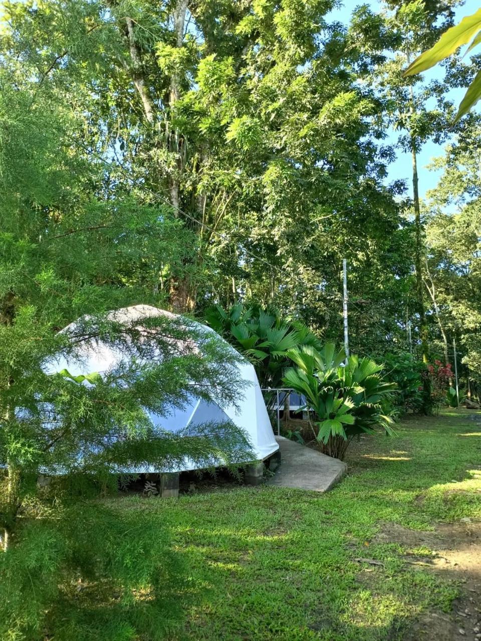 Glamping Naioth Apartment Guapiles Exterior photo
