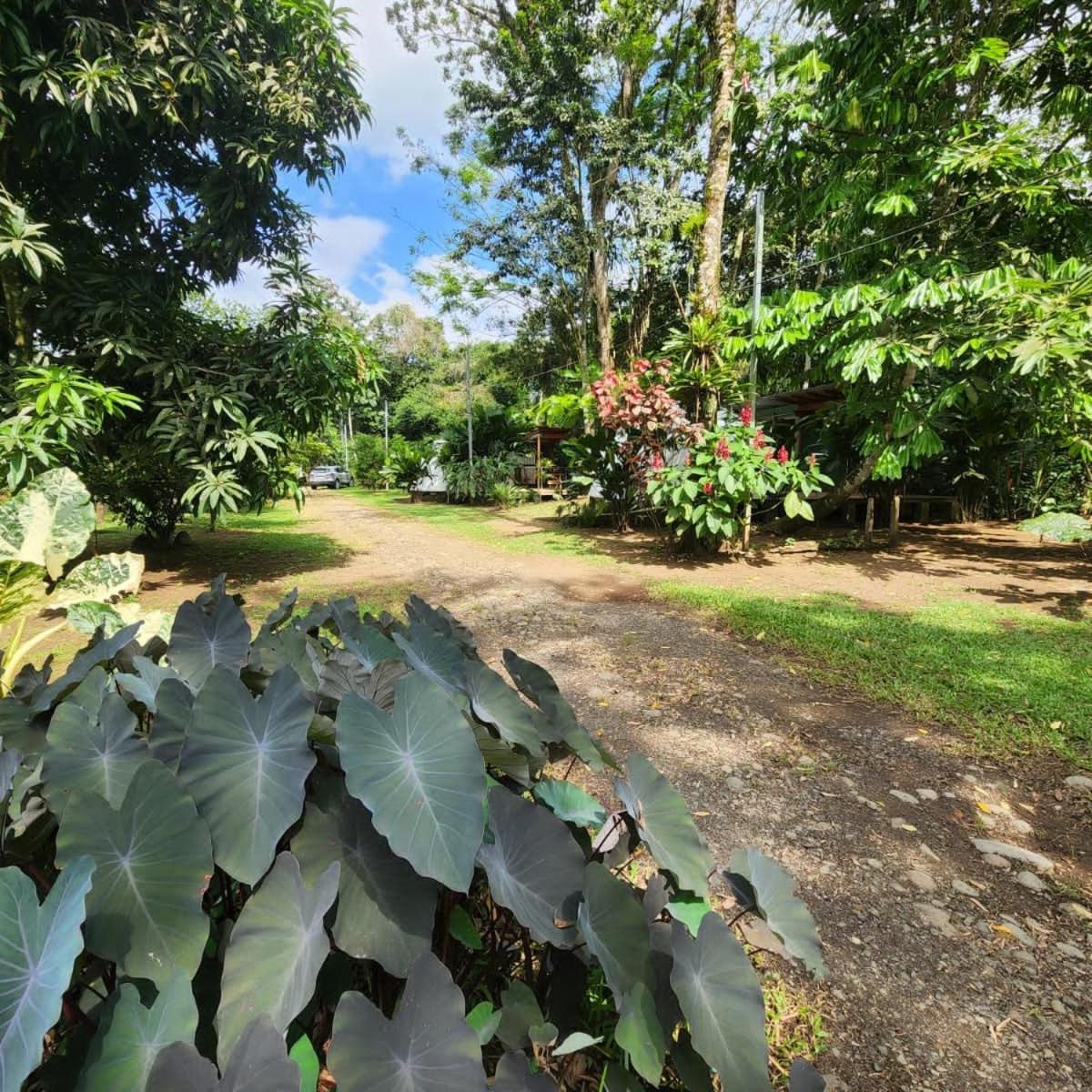Glamping Naioth Apartment Guapiles Exterior photo