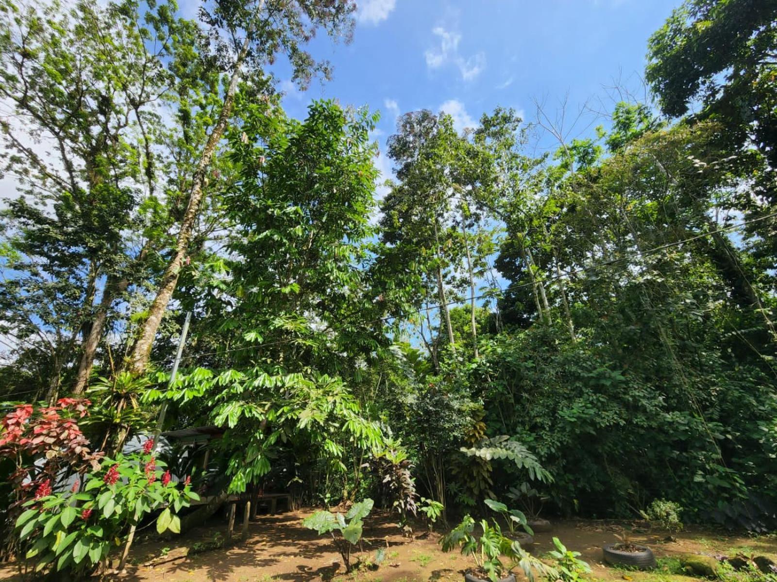 Glamping Naioth Apartment Guapiles Exterior photo