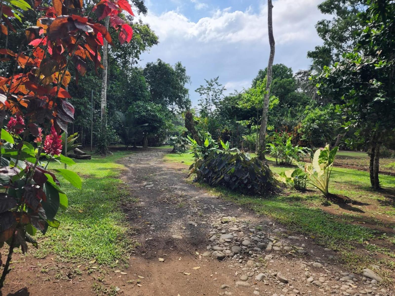 Glamping Naioth Apartment Guapiles Exterior photo
