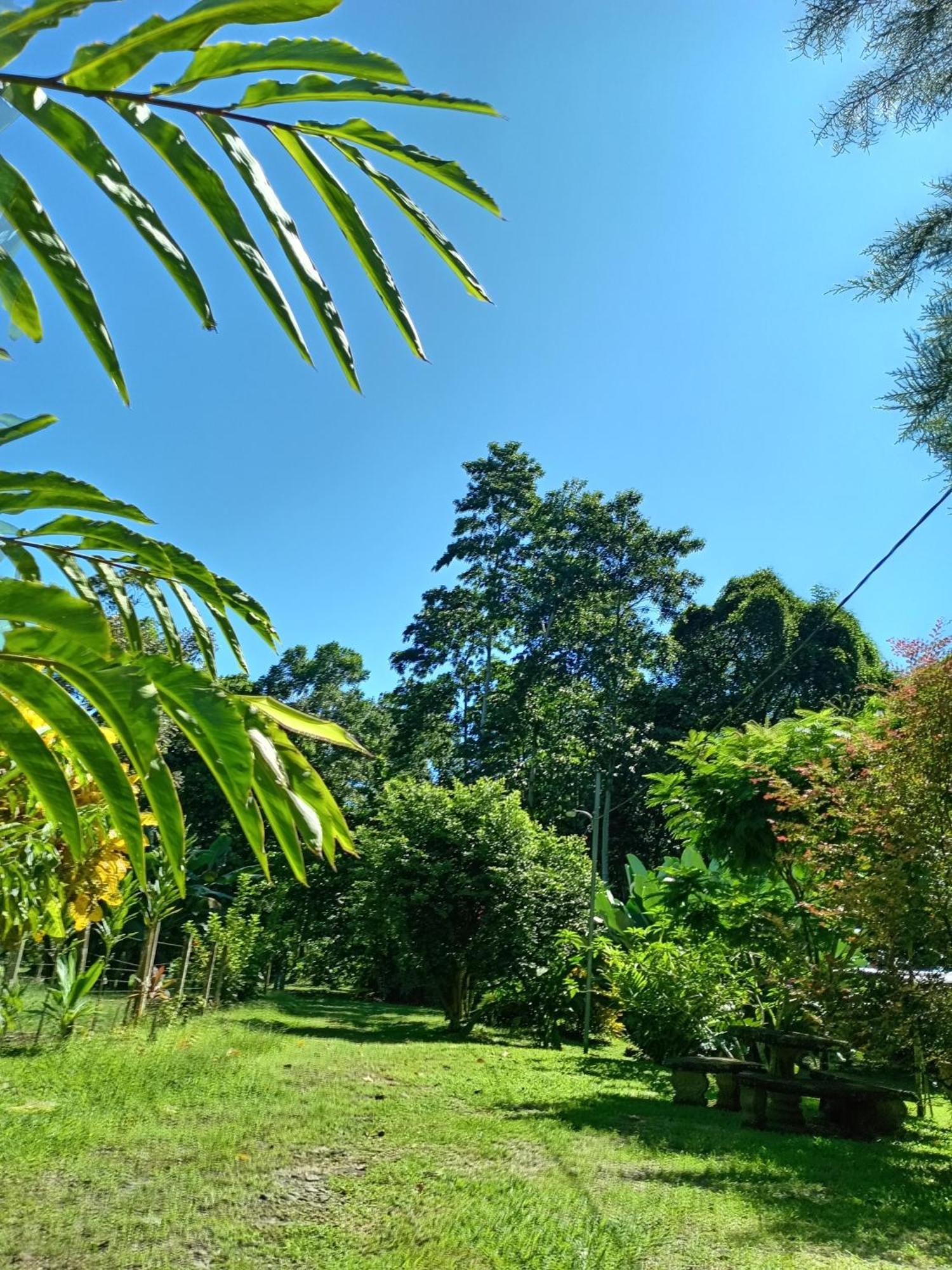 Glamping Naioth Apartment Guapiles Room photo