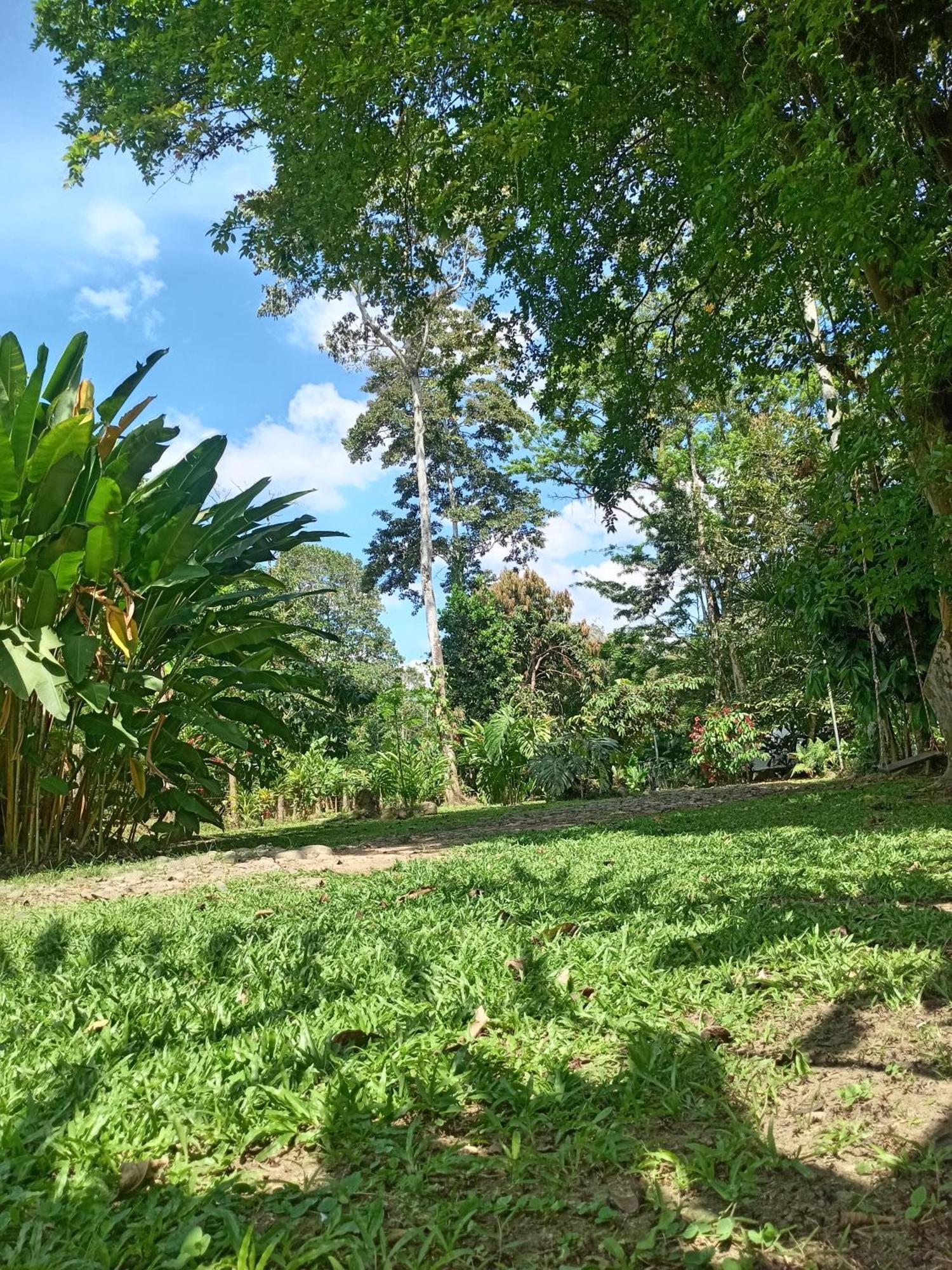 Glamping Naioth Apartment Guapiles Room photo