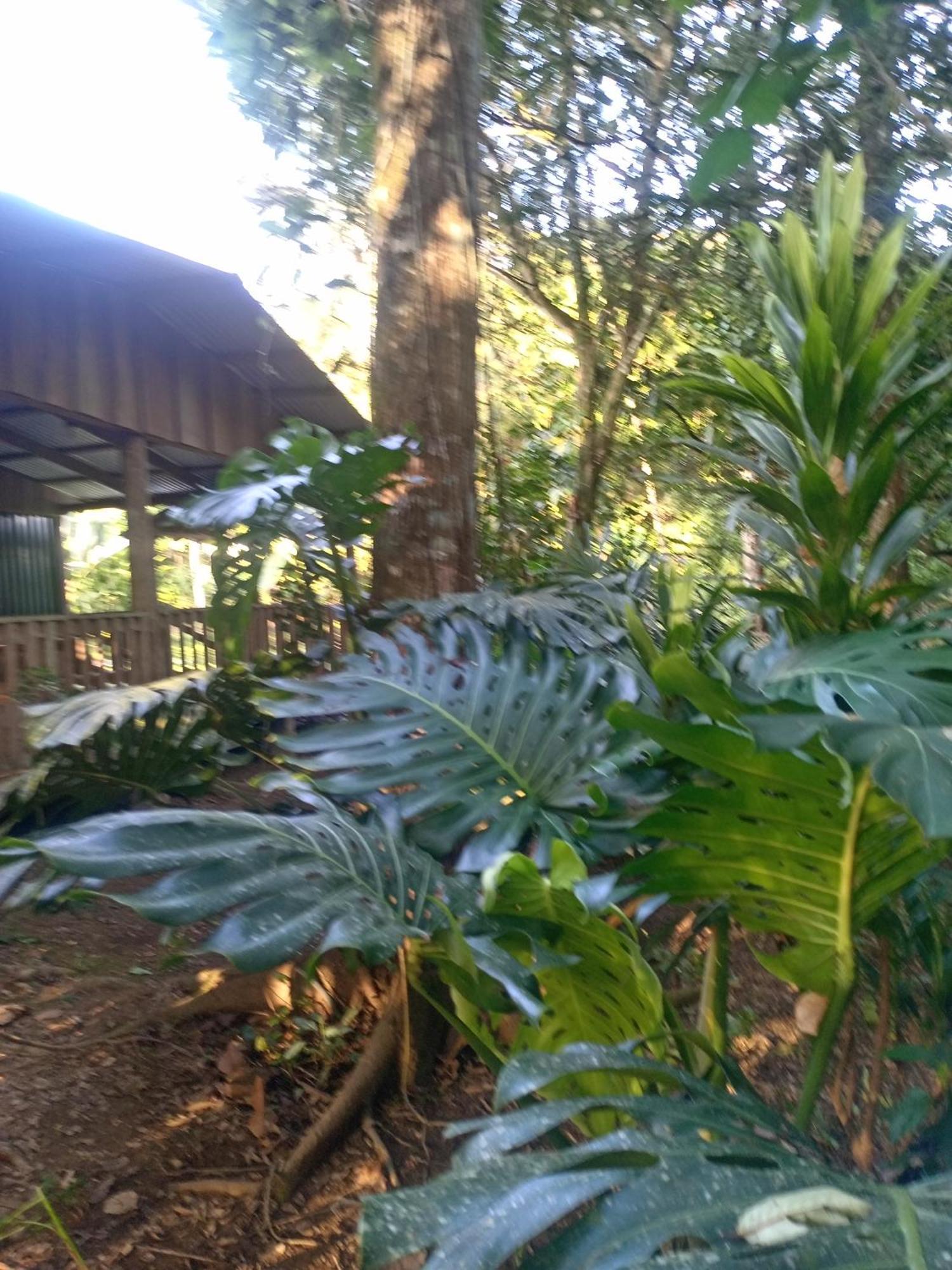 Glamping Naioth Apartment Guapiles Exterior photo
