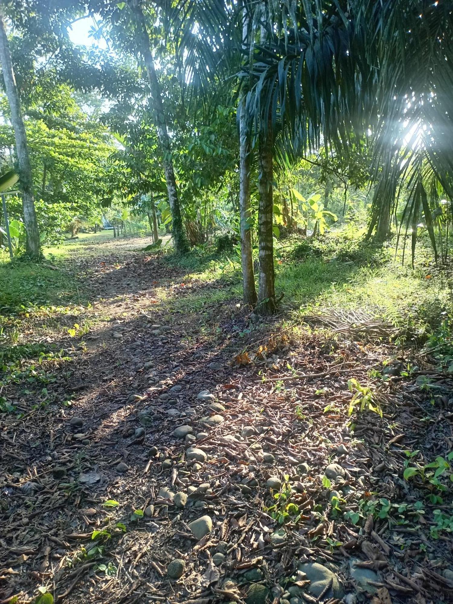 Glamping Naioth Apartment Guapiles Exterior photo